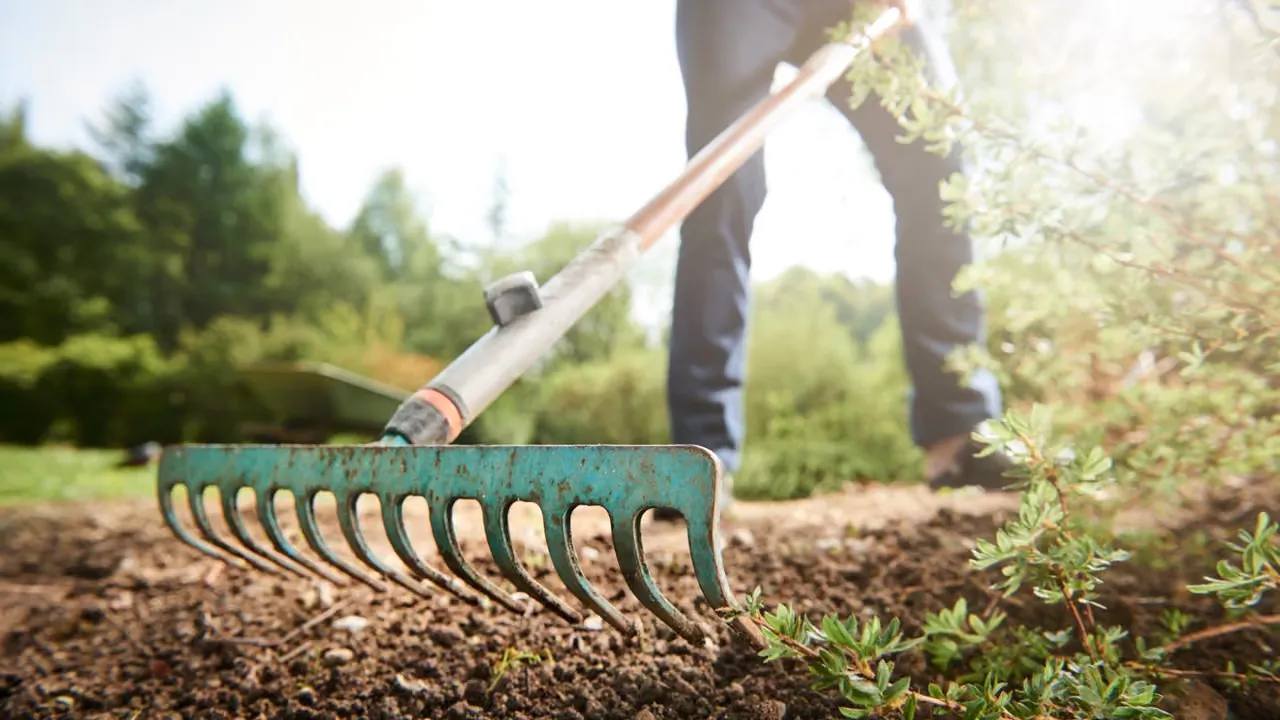 Miljövänlig trädgård utan kemikalier