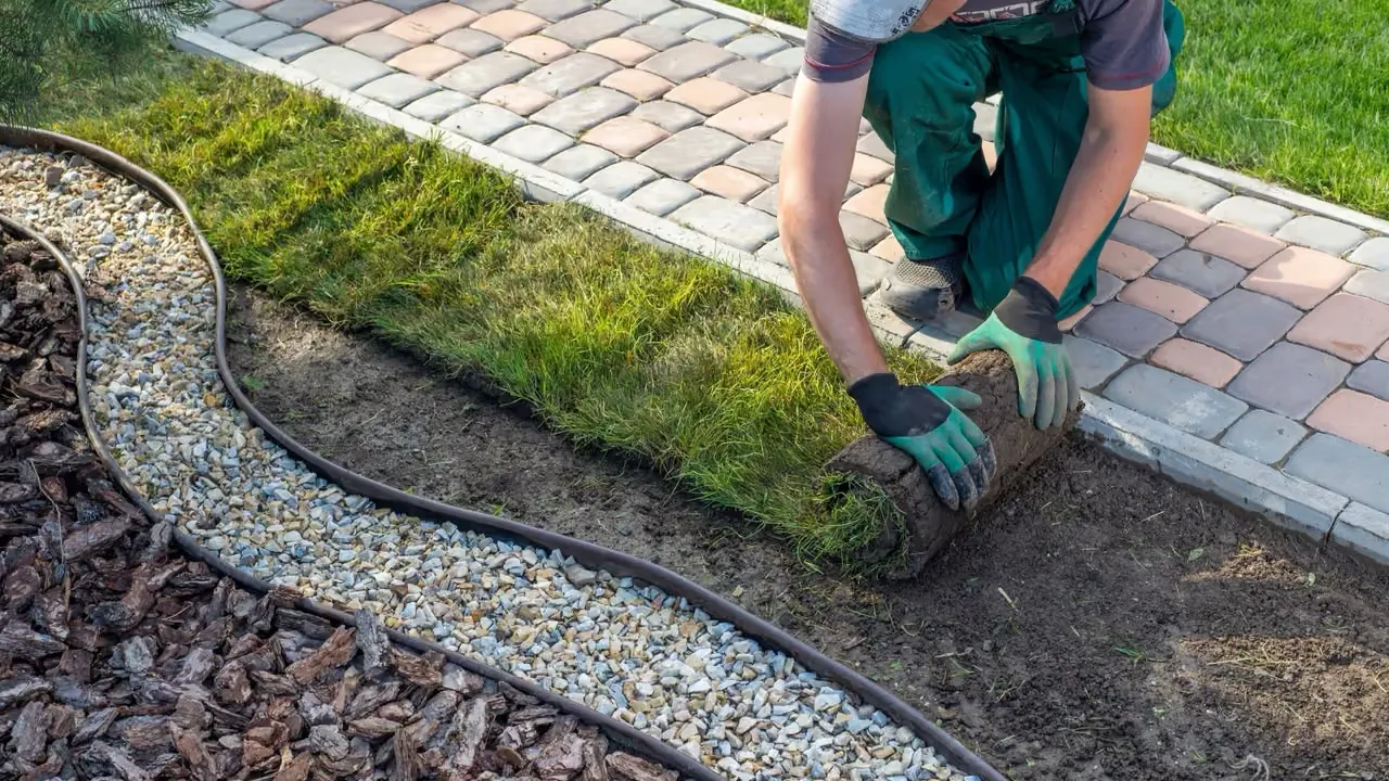 Urban trädgård räddar artrikedomen